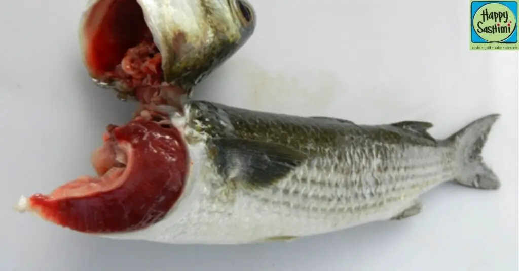 Understanding the Importance of Bleeding Fish