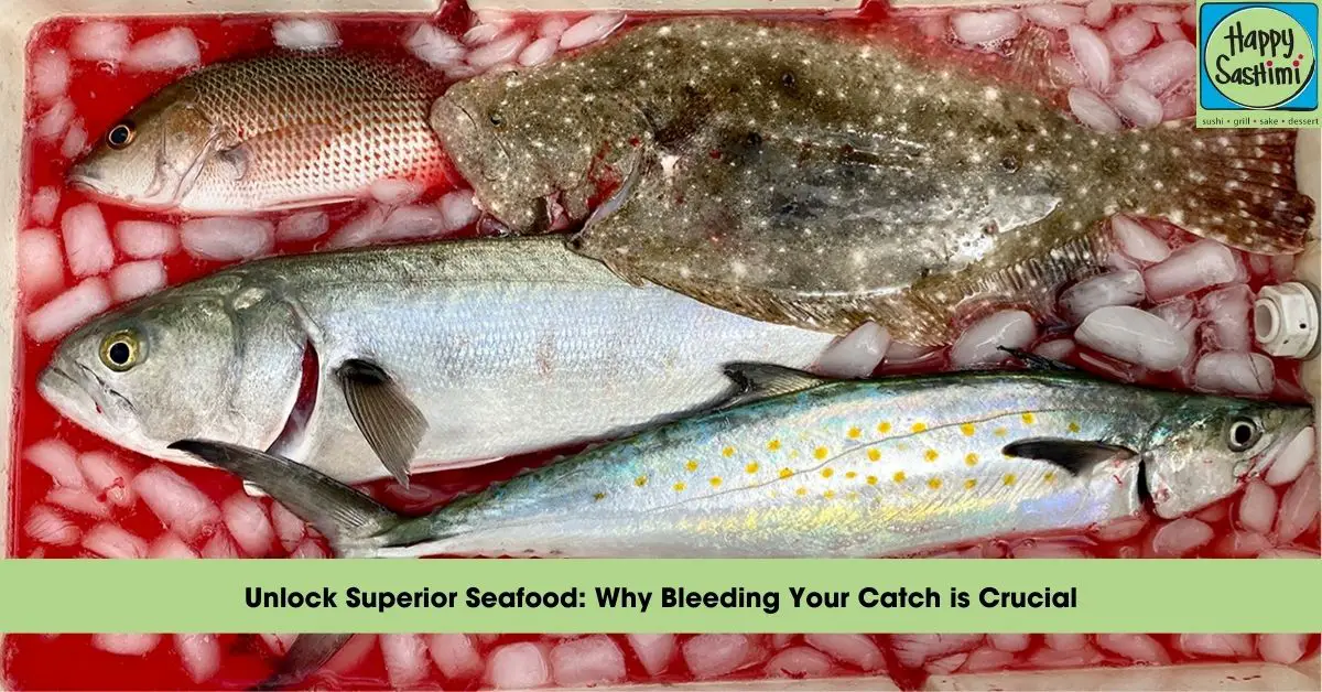 why bleeding fish important